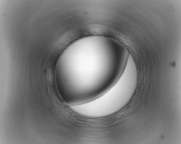X0000092040317200709121010