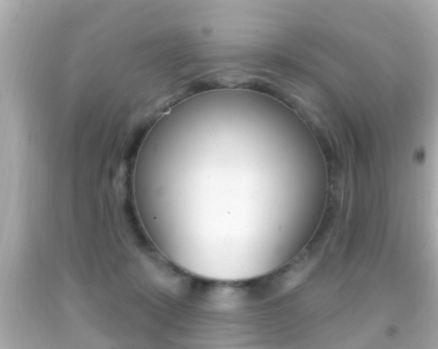 X0000092040319200709121010
