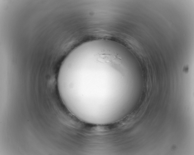 X0000092040320200709121010