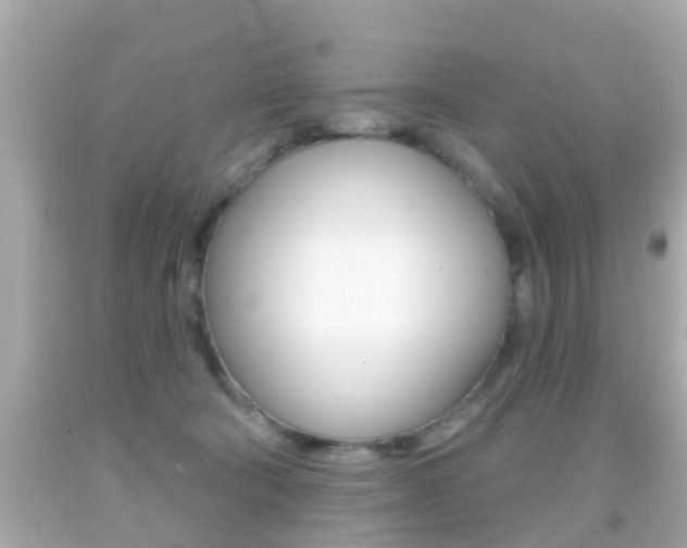 X0000092040322200709121010