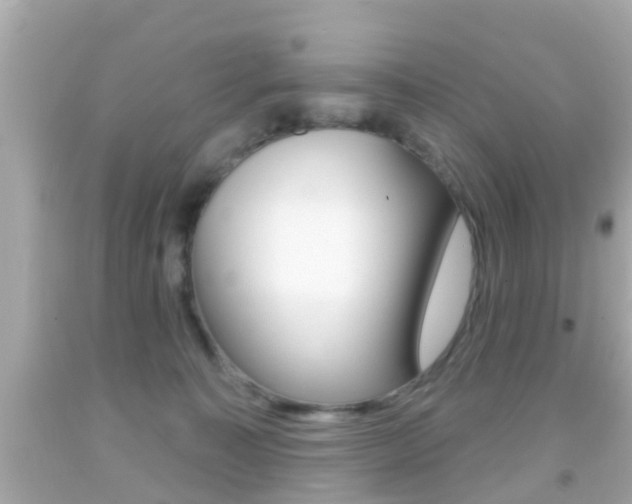 X0000092040323200709121010