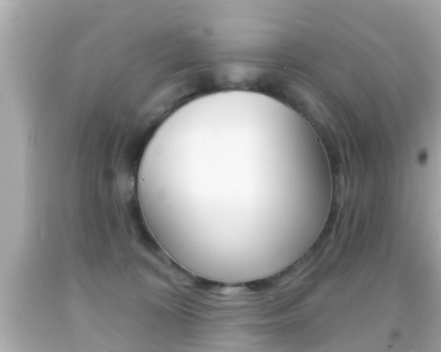 X0000092040324200709121010