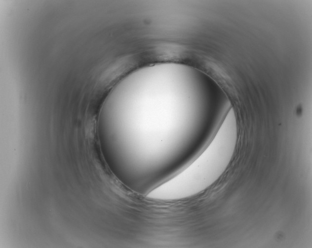 X0000092040325200709121010