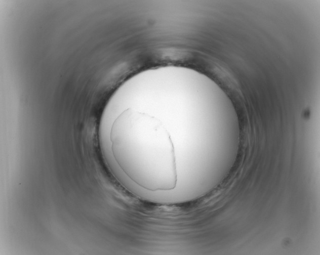 X0000092040328200709121010