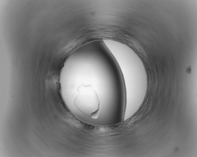 X0000092040329200709121010