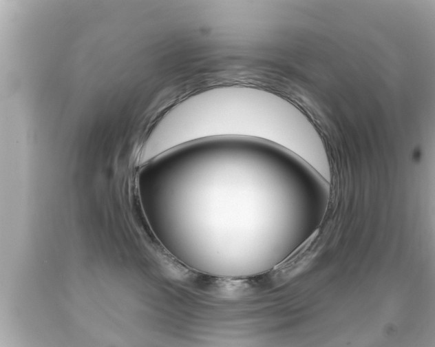 X0000092040333200709121010