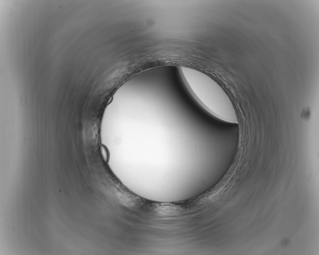 X0000092040336200709121010