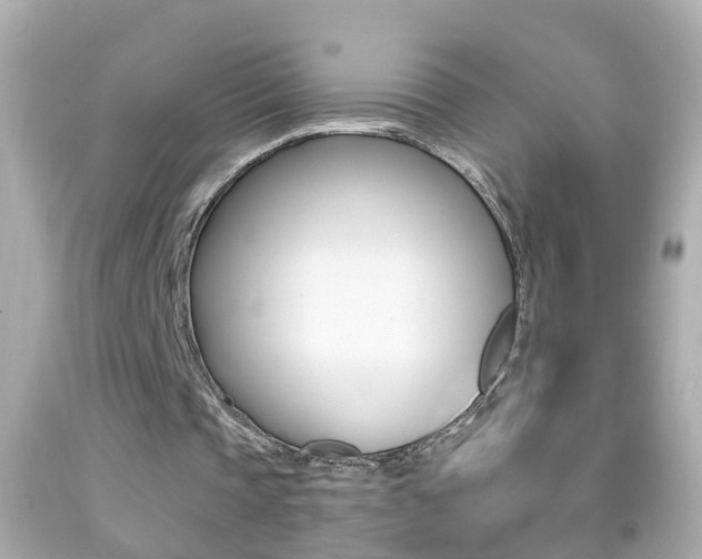 X0000092040337200709121009