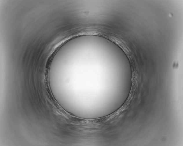 X0000092040338200709121009