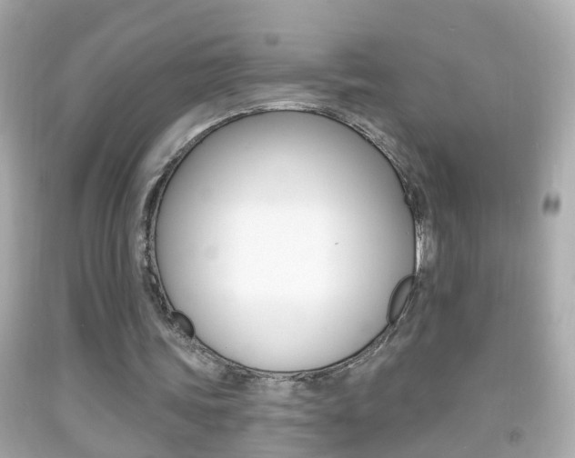 X0000092040339200709121009
