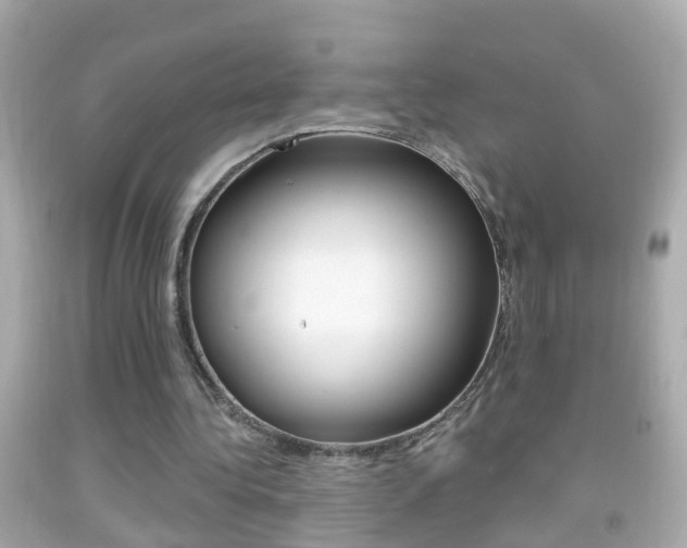 X0000092040340200709121009