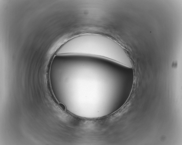 X0000092040341200709121009