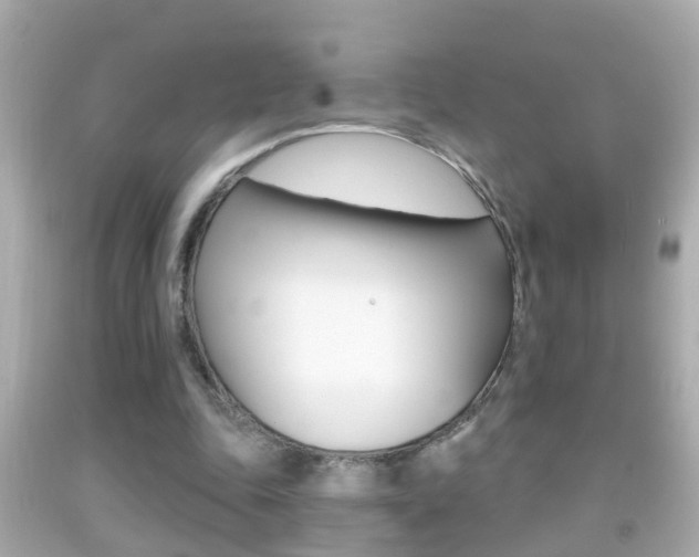 X0000092040343200709121009