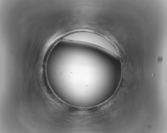X0000092040344200709121009