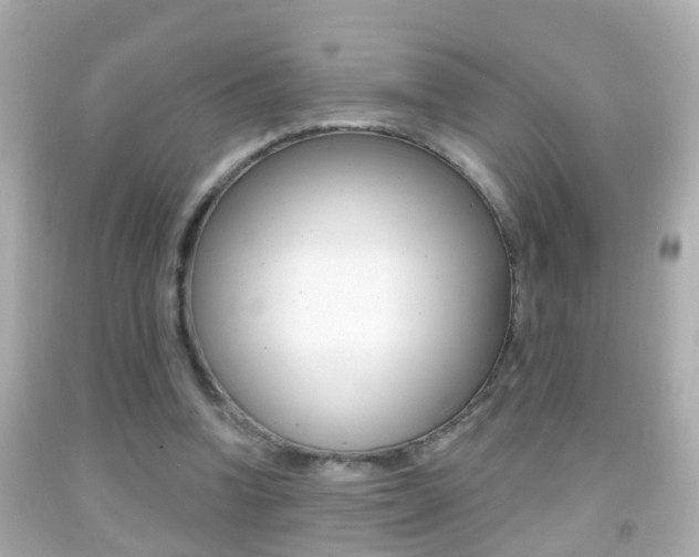X0000092040346200709121009