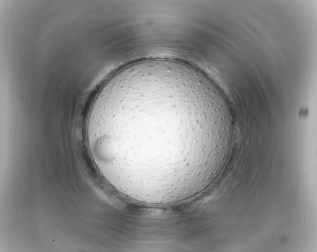 X0000092040347200709121009