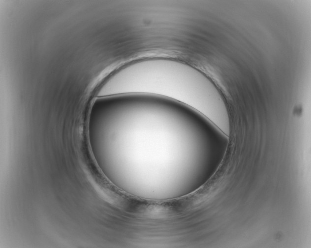 X0000092040348200709121009