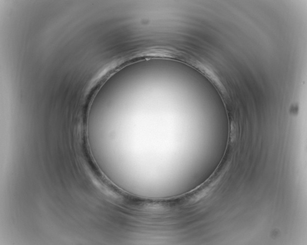 X0000092040349200709121009