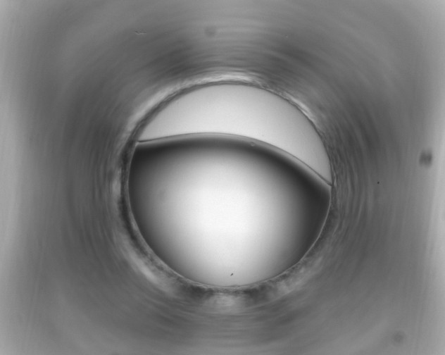 X0000092040350200709121009