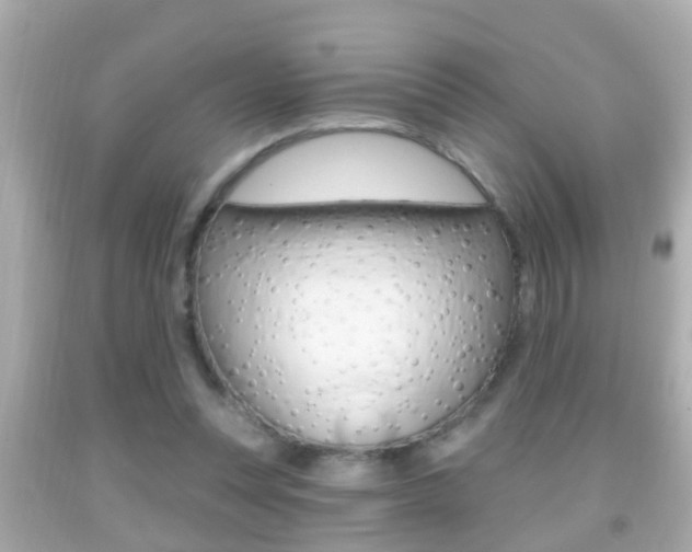 X0000092040351200709121009