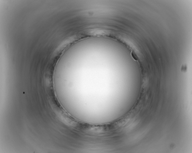 X0000092040353200709121009