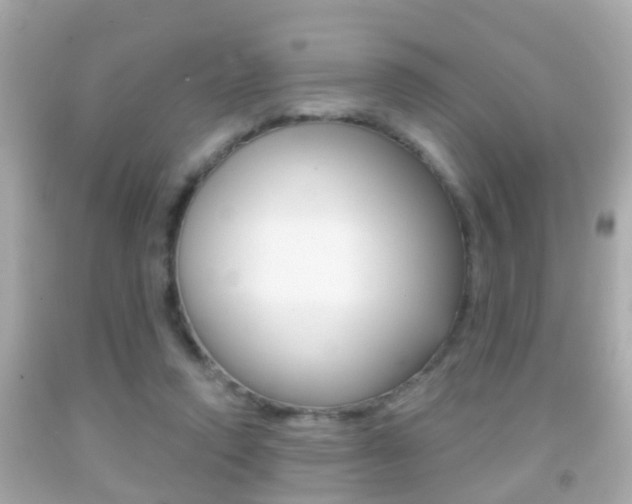 X0000092040354200709121009