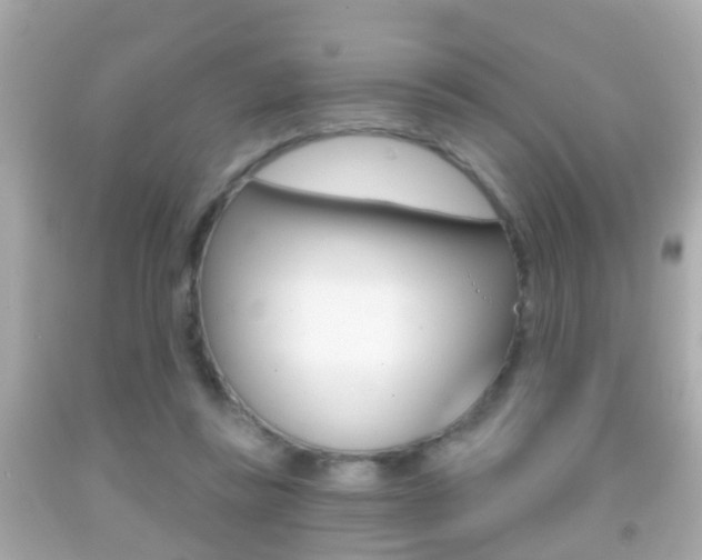 X0000092040355200709121009