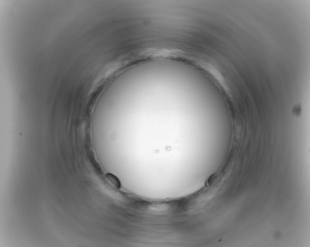 X0000092040357200709121009