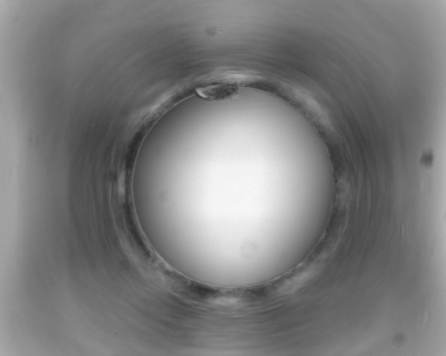 X0000092040358200709121009