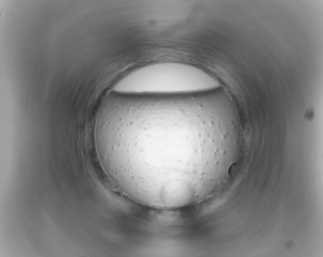 X0000092040359200709121009