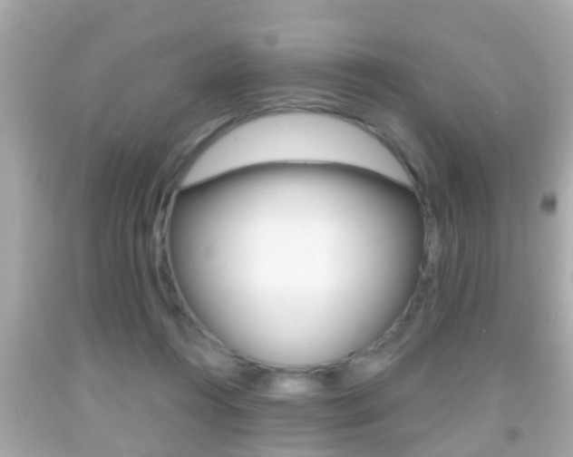 X0000092040360200709121009