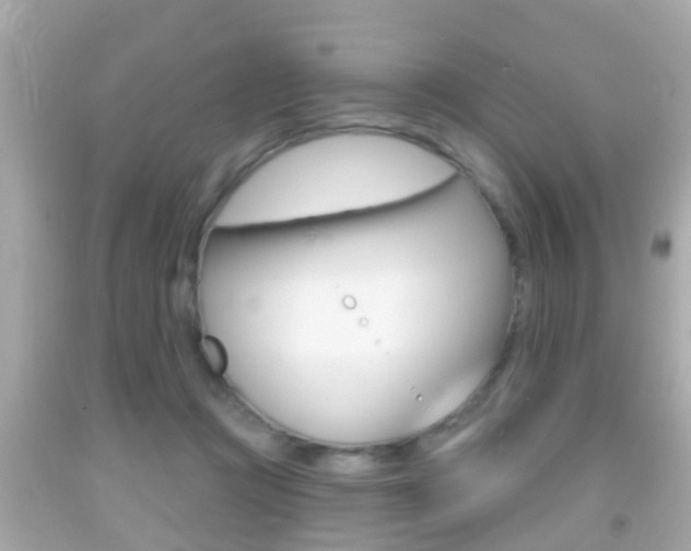 X0000092040361200709121009