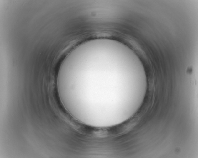 X0000092040362200709121009