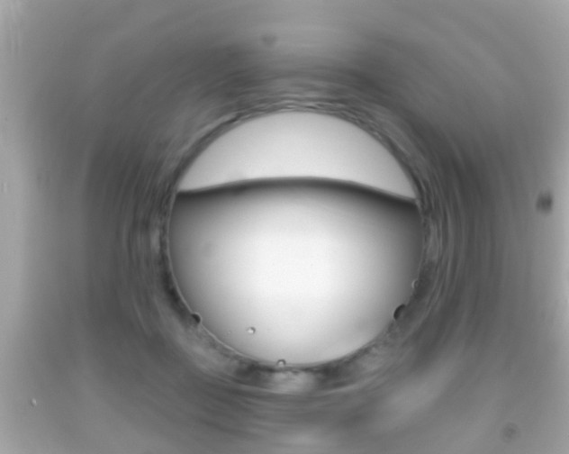 X0000092040363200709121009