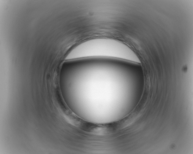 X0000092040364200709121010