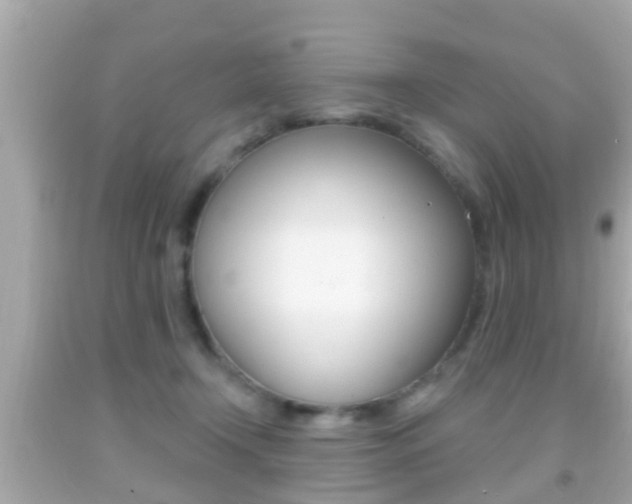 X0000092040366200709121010