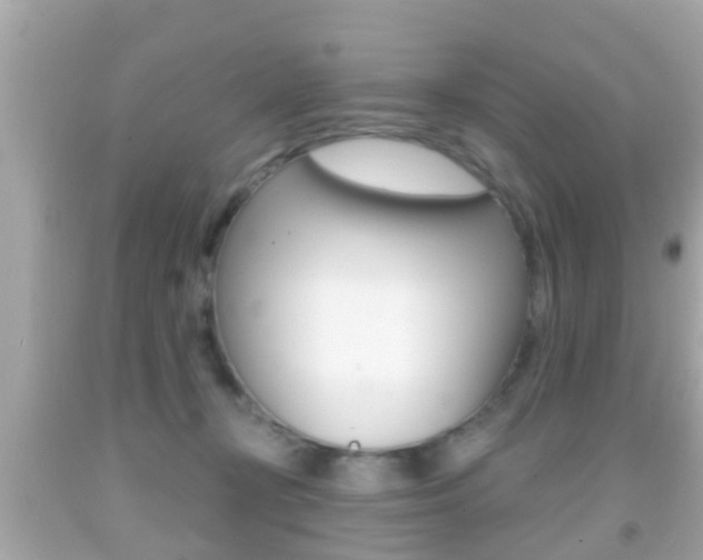 X0000092040367200709121010