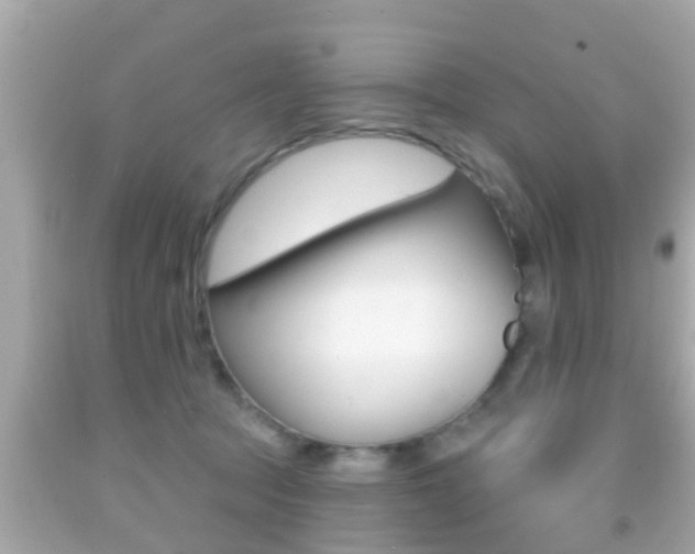 X0000092040369200709121010