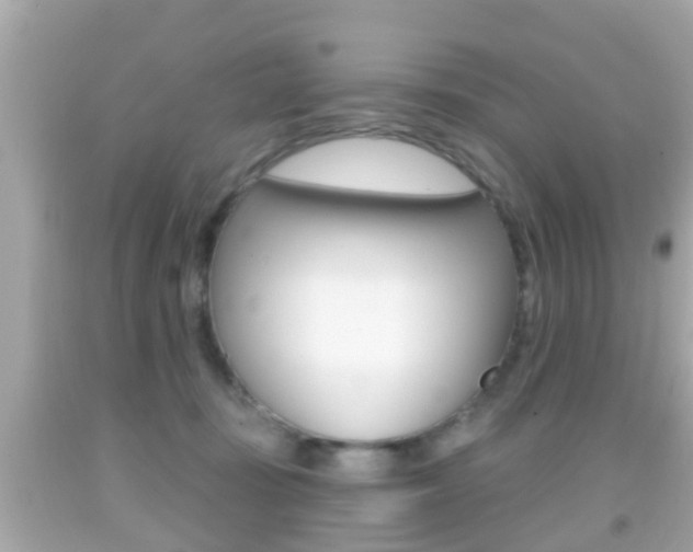 X0000092040371200709121010