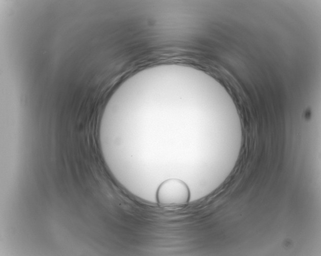 X0000092040372200709121010