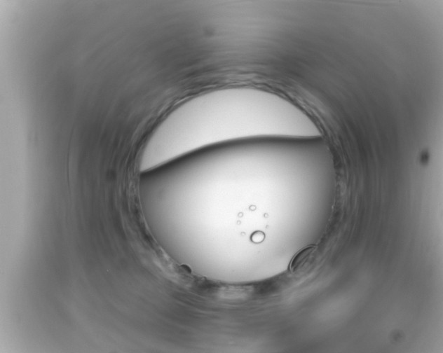 X0000092040373200709121010