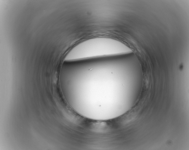 X0000092040374200709121010