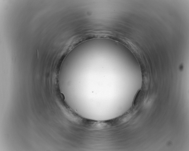 X0000092040379200709121010