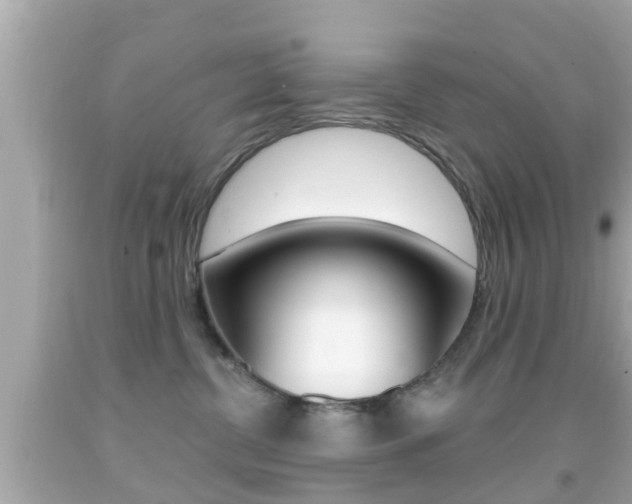 X0000092040380200709121010