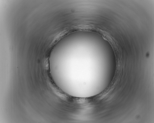 X0000092040383200709121010