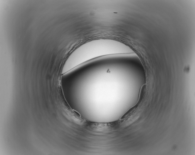 X0000092040384200709121010