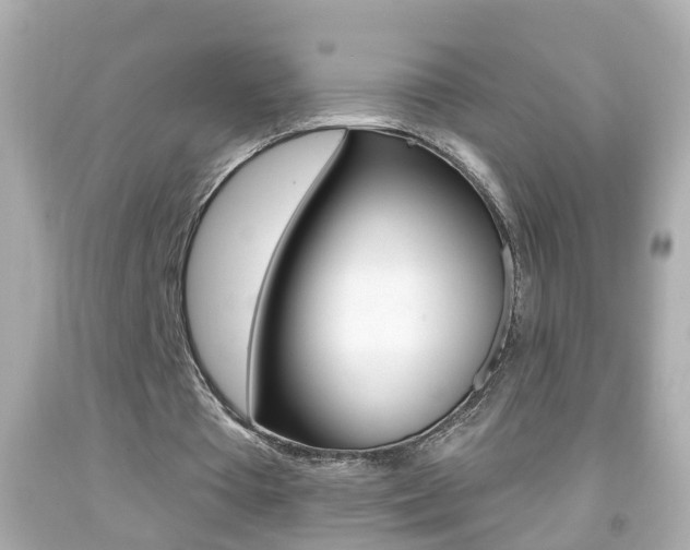 X0000092040385200709121009
