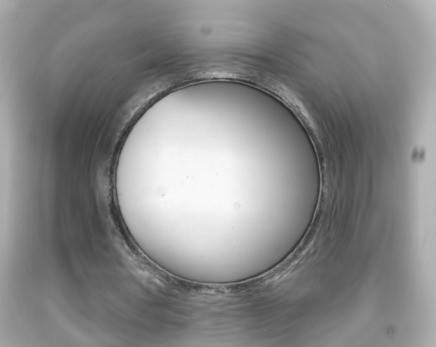 X0000092040386200709121009