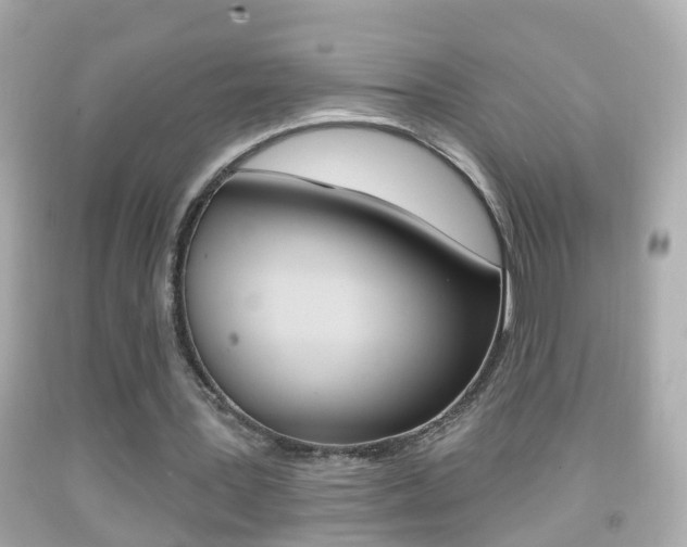 X0000092040387200709121009