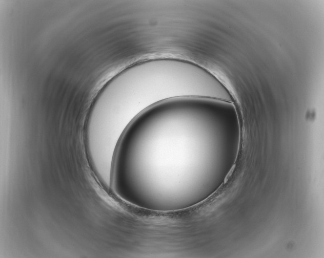 X0000092040389200709121009